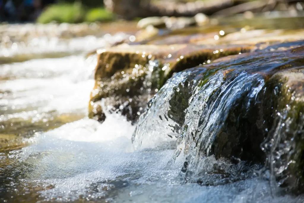 Clean Water Act Violations in Texas: What to Know